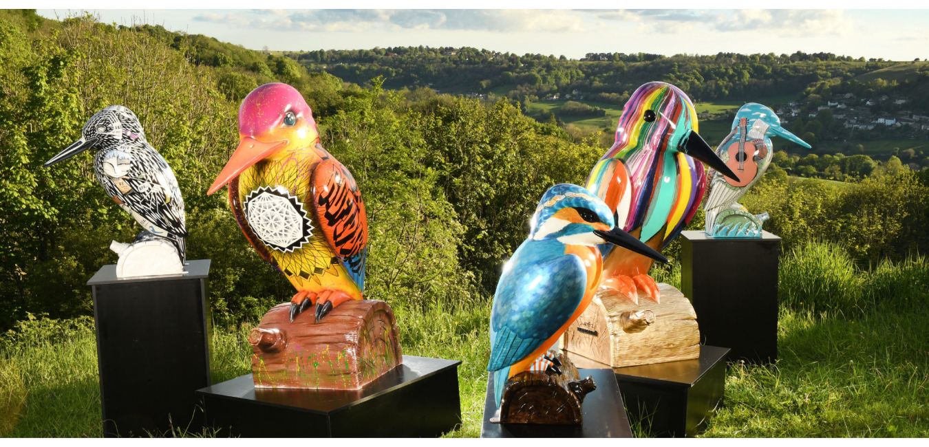 Kingfishers in the Cotswolds Free Things to do Kids Children Adventure 