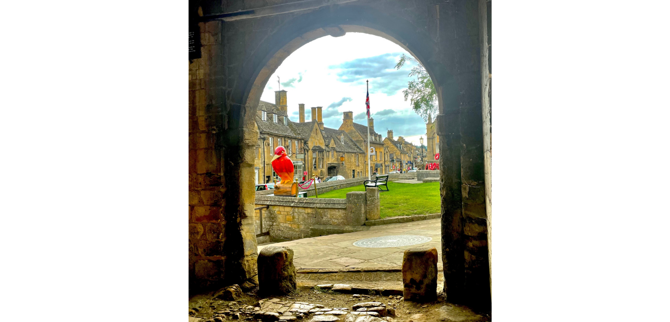 Kingfishers in the Cotswolds Honeypot Cottages chipping campden things to do 